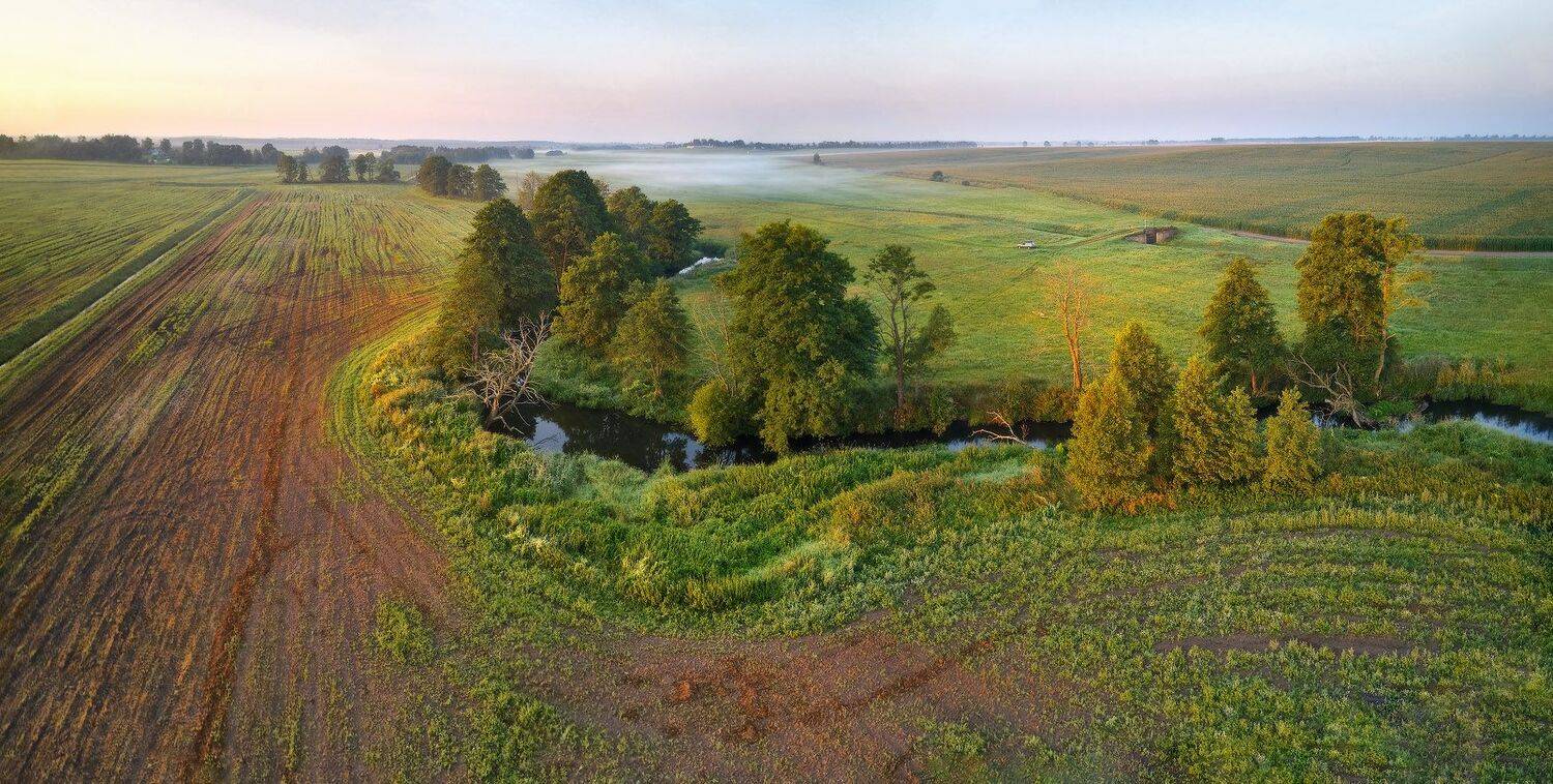 август, беларусь, лето, поля, птичь, рассвет, река, туман, утро, Вейзе Максим