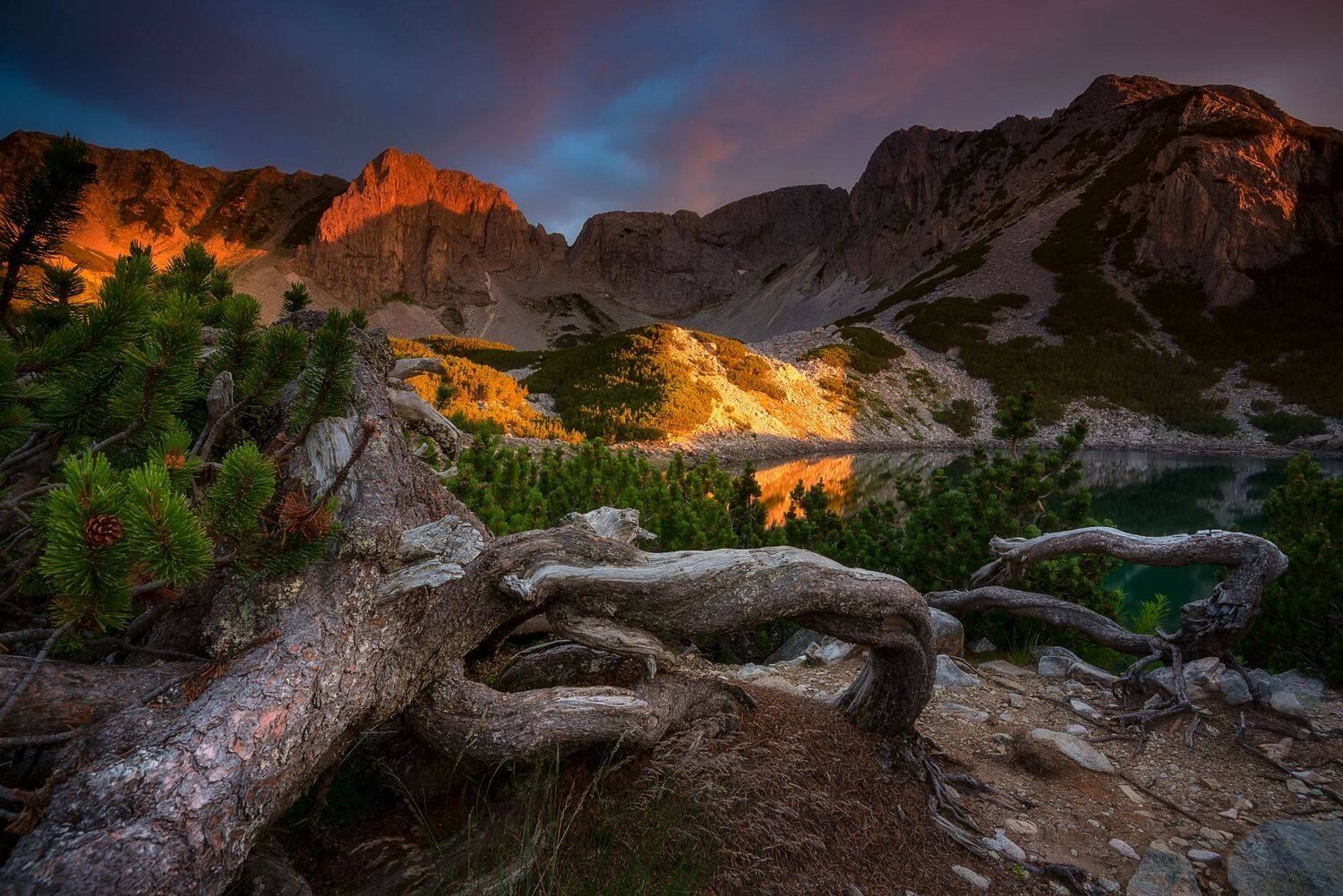 , Mariyana Atanasova - Lucero