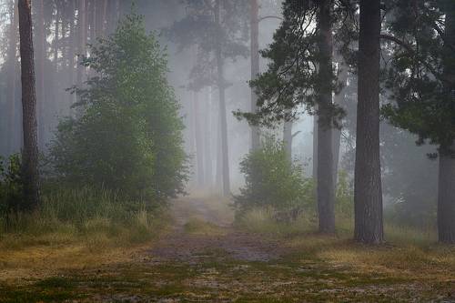 Что нас ждет впереди?