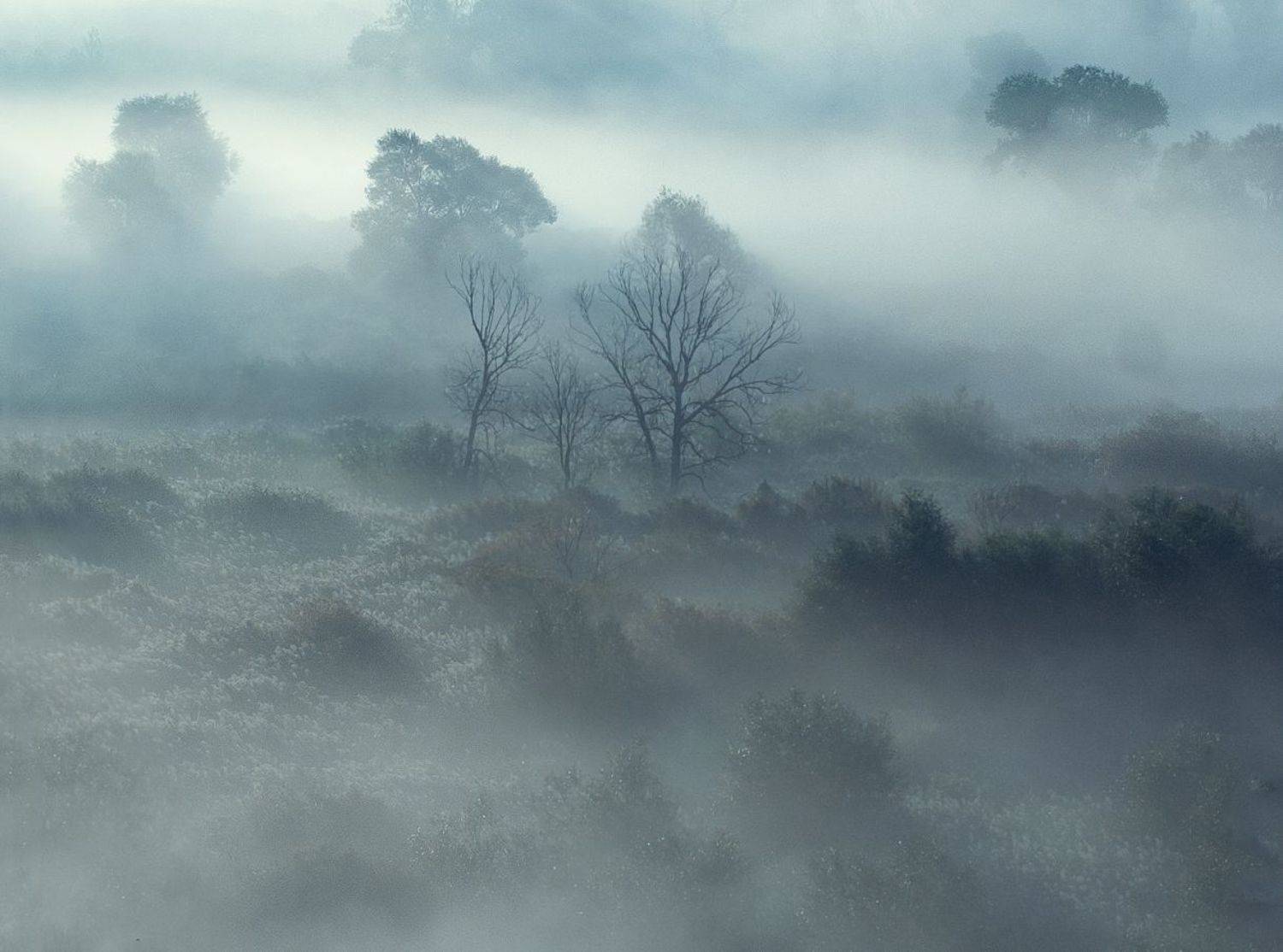 , Рукин Иван