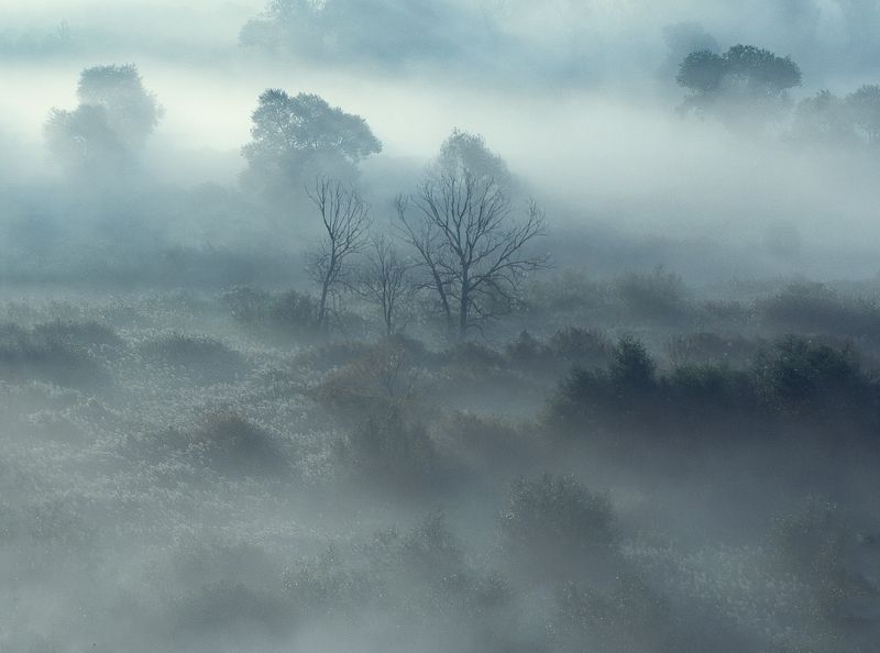 В тумане фото превью