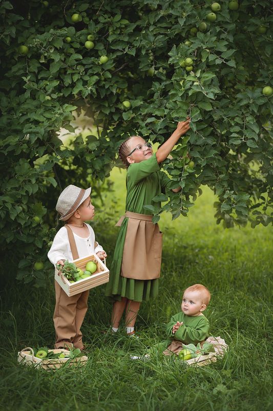 Яблочки фото превью