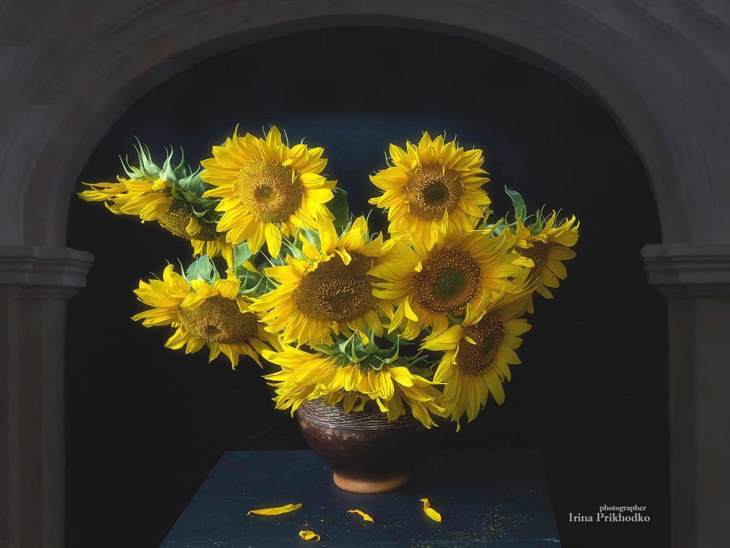 натюрморт, букет, подсолнухи, лето, Приходько Ирина