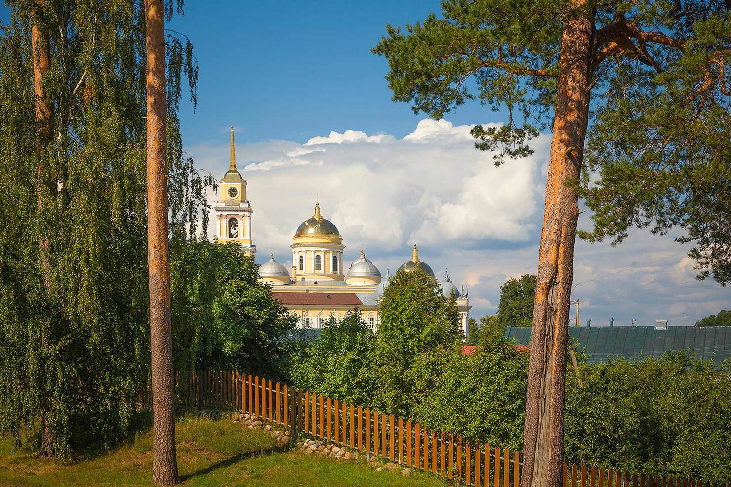 , Напалкин Станислав