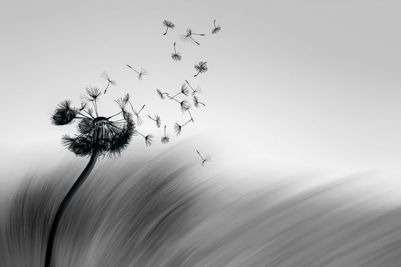 My vision and mentality фото превью