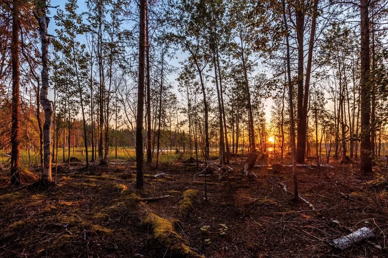Начало дня фото превью