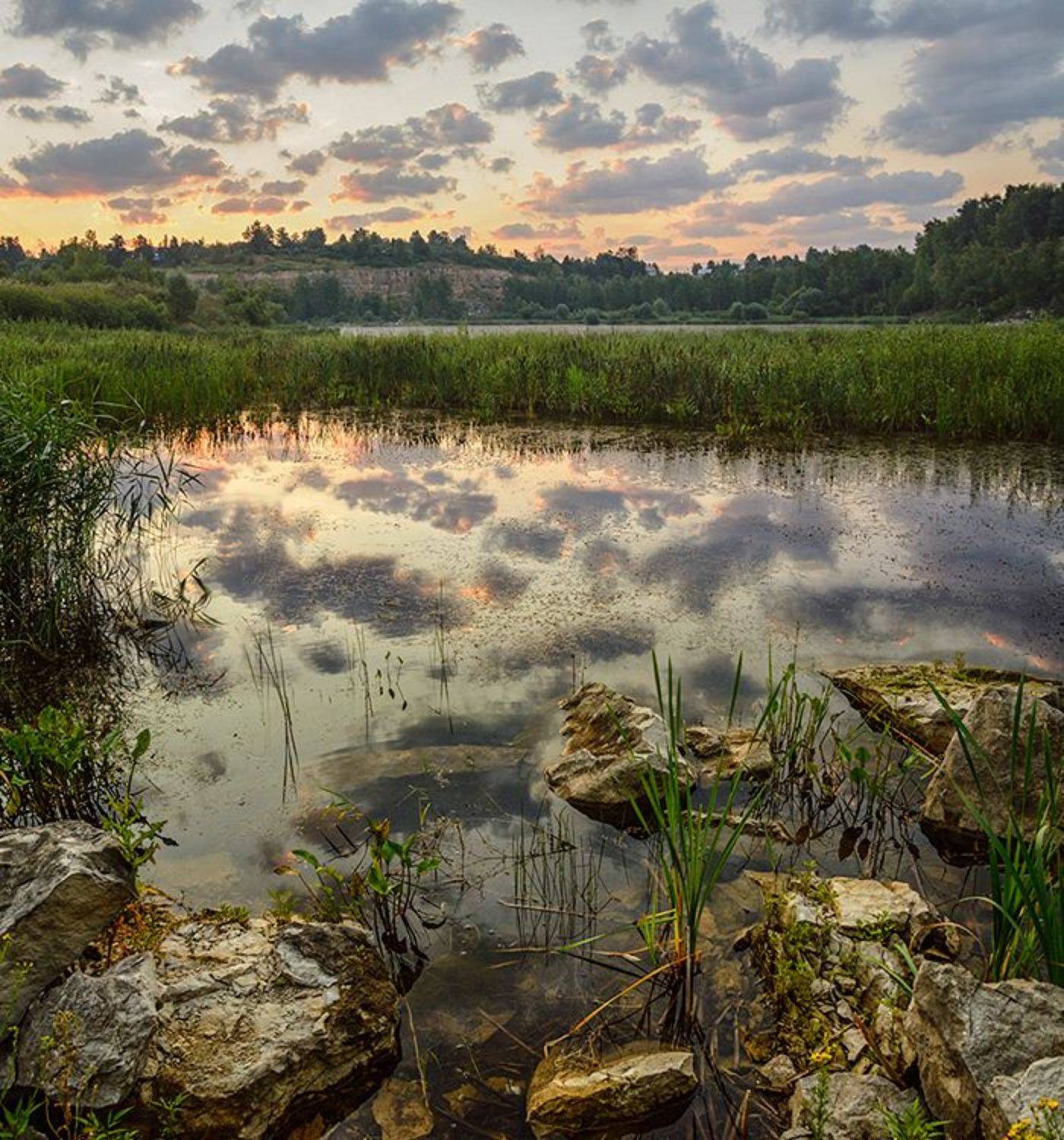 , Анатолий Зверев