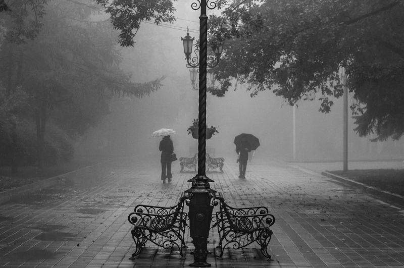 Туманным утром фото превью