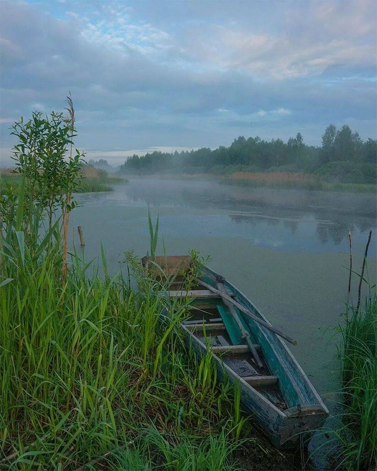 , Петр Косых