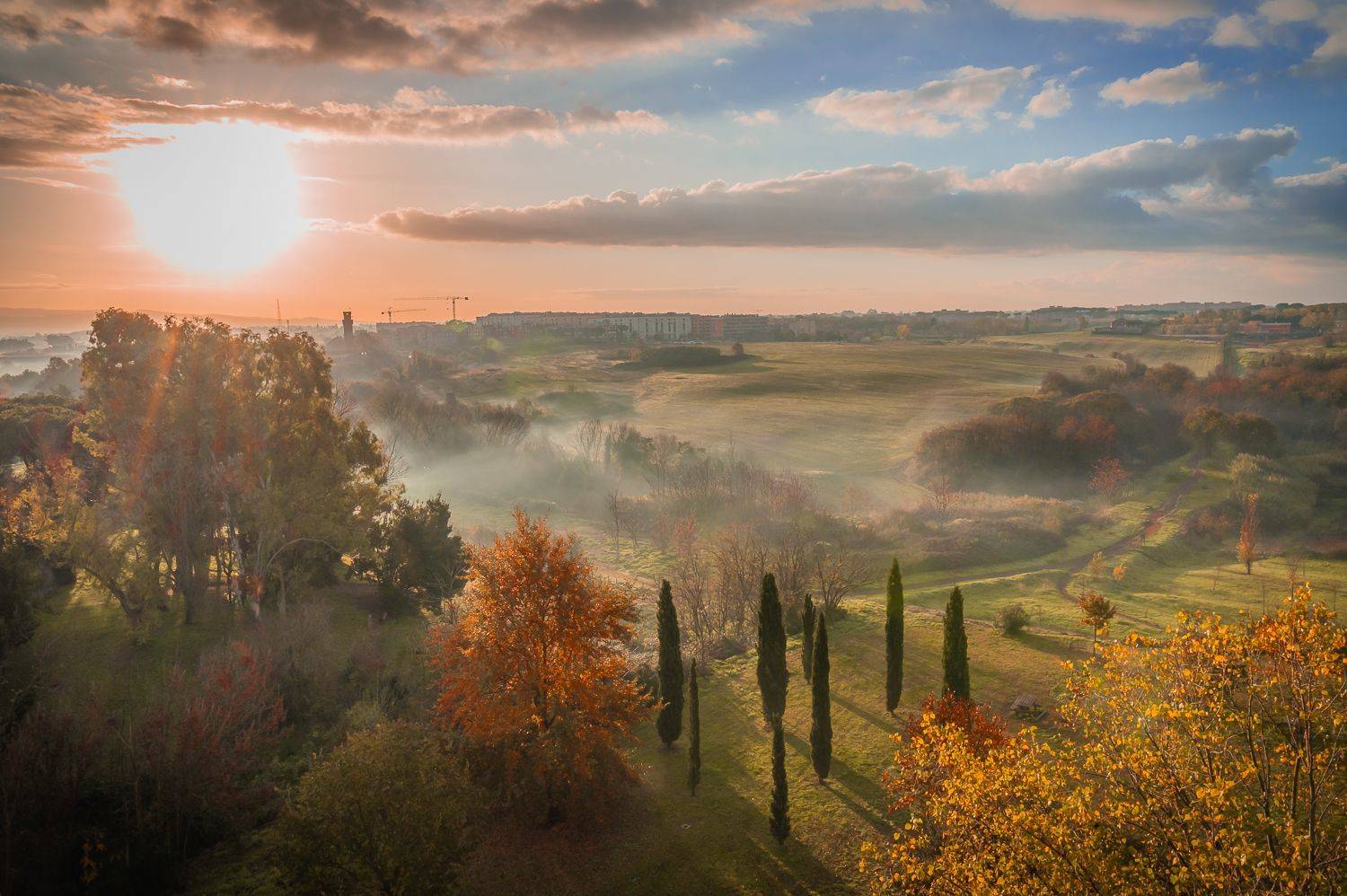 , Максимова Дария