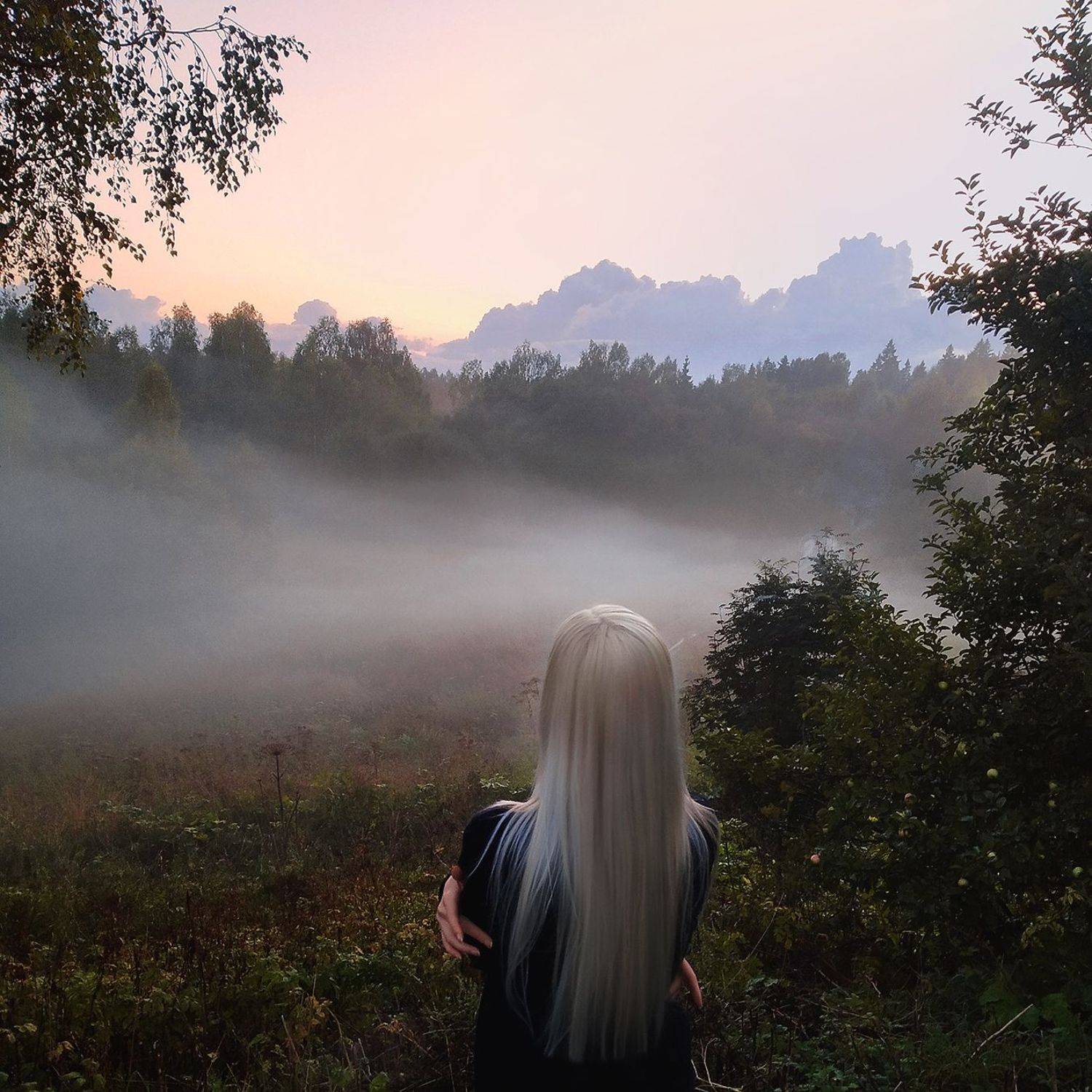 nature, mist, beauty, landscape, sky, trees,forest, природа,туман,пейхаж,  Kerry Moore