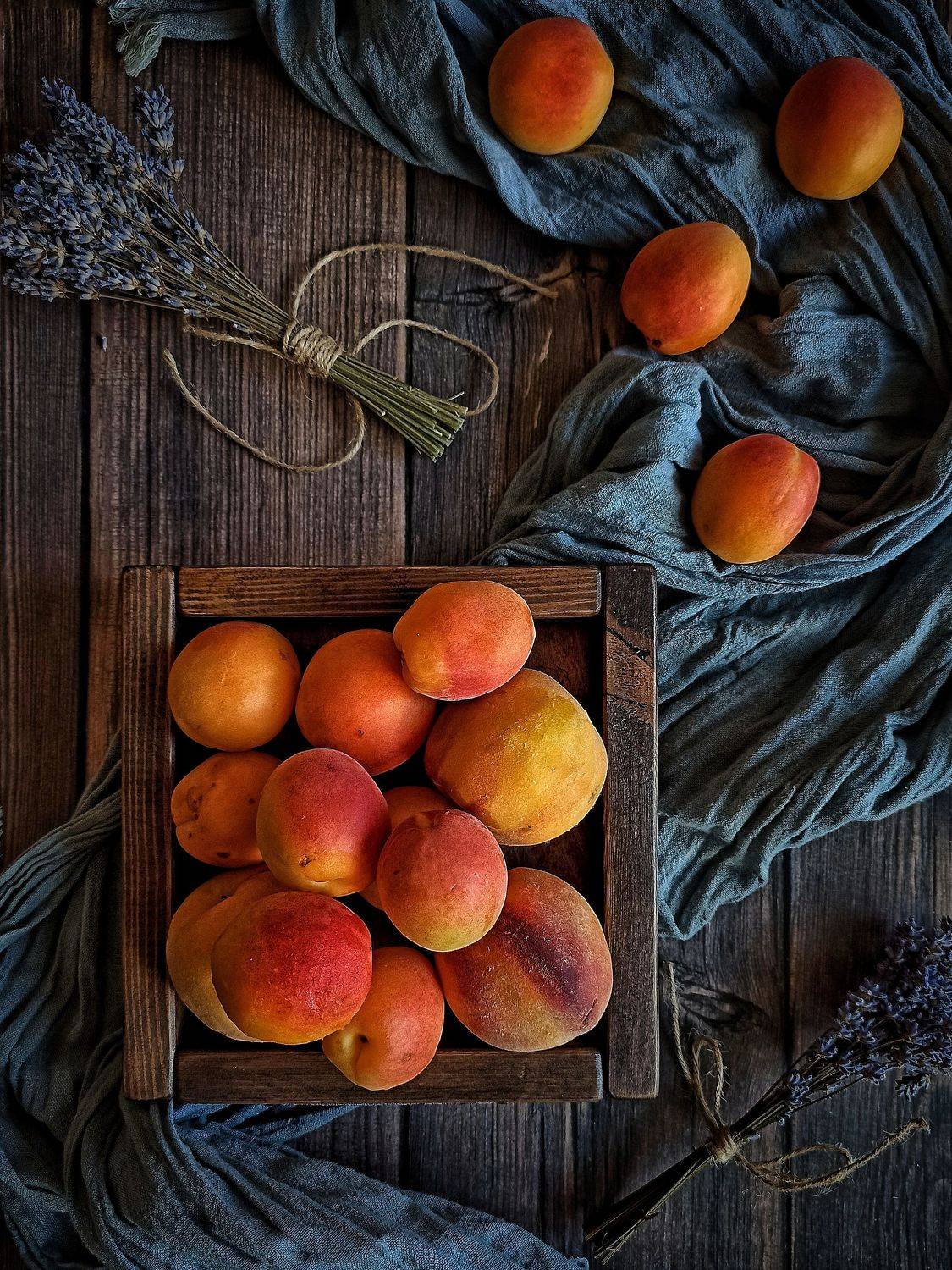 , Дина Полухина