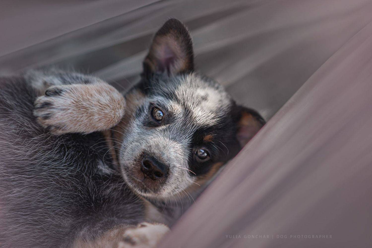 , Юлия Гончар