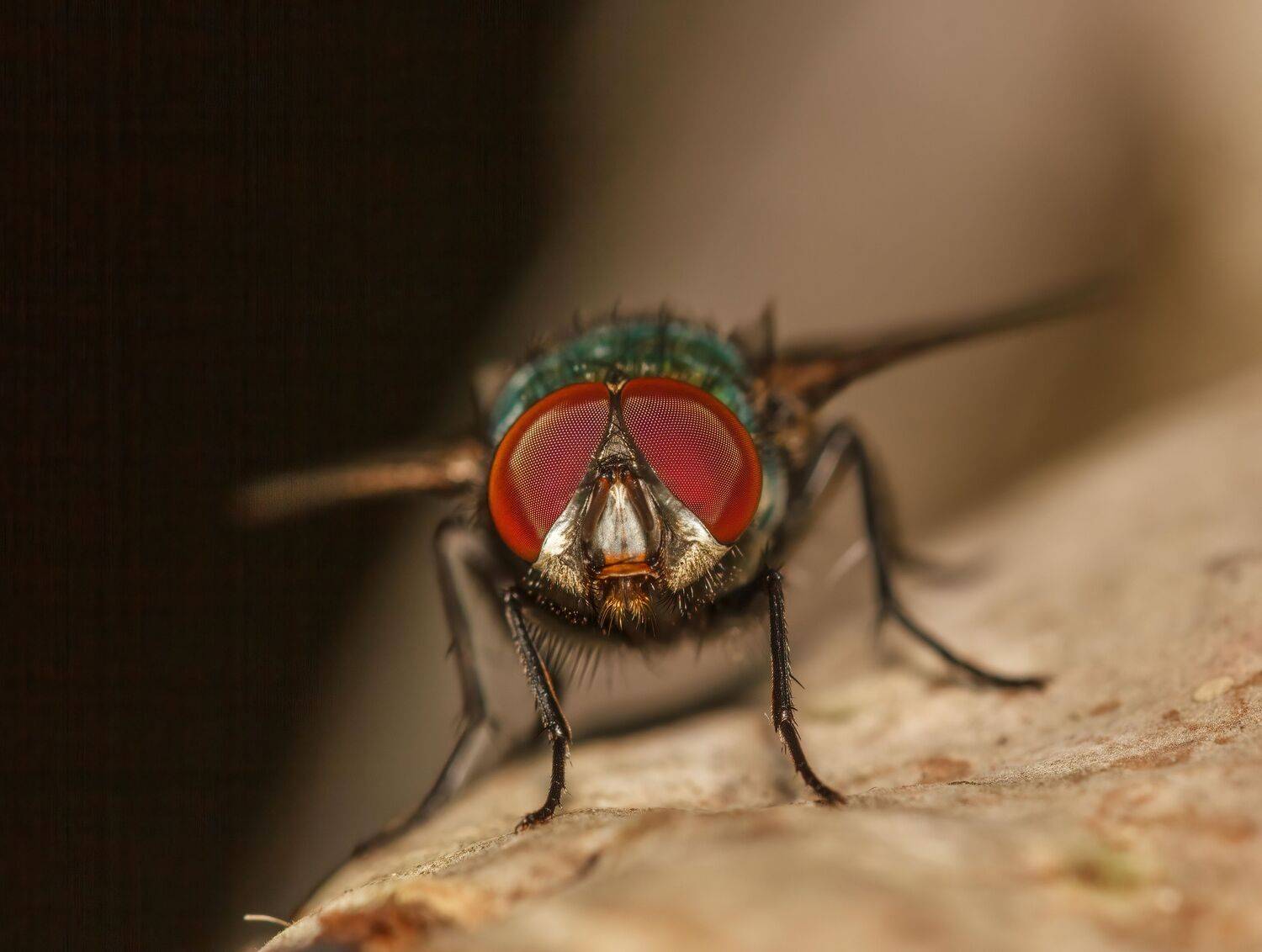 , Котов Андрей