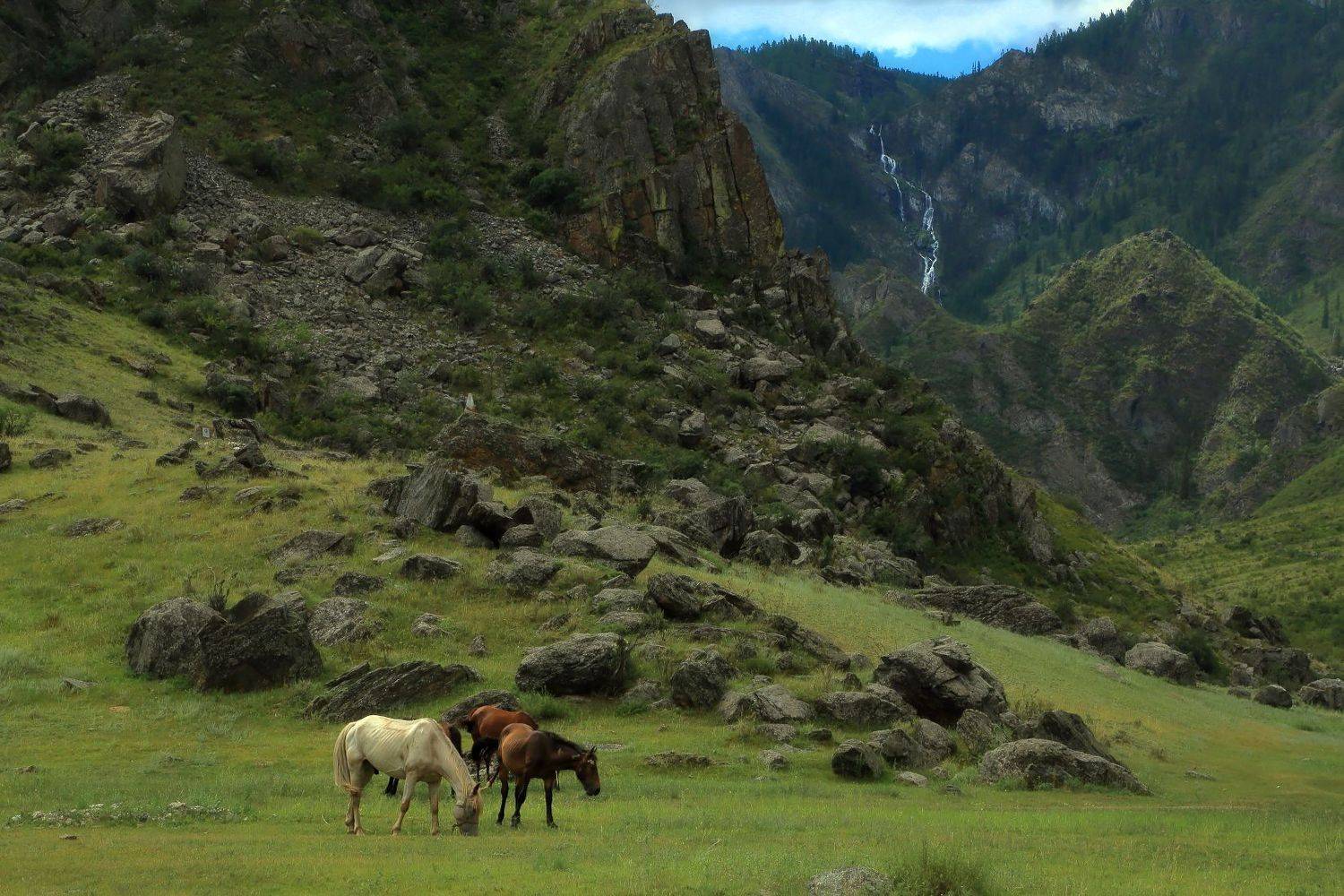 , Евгений Зинов