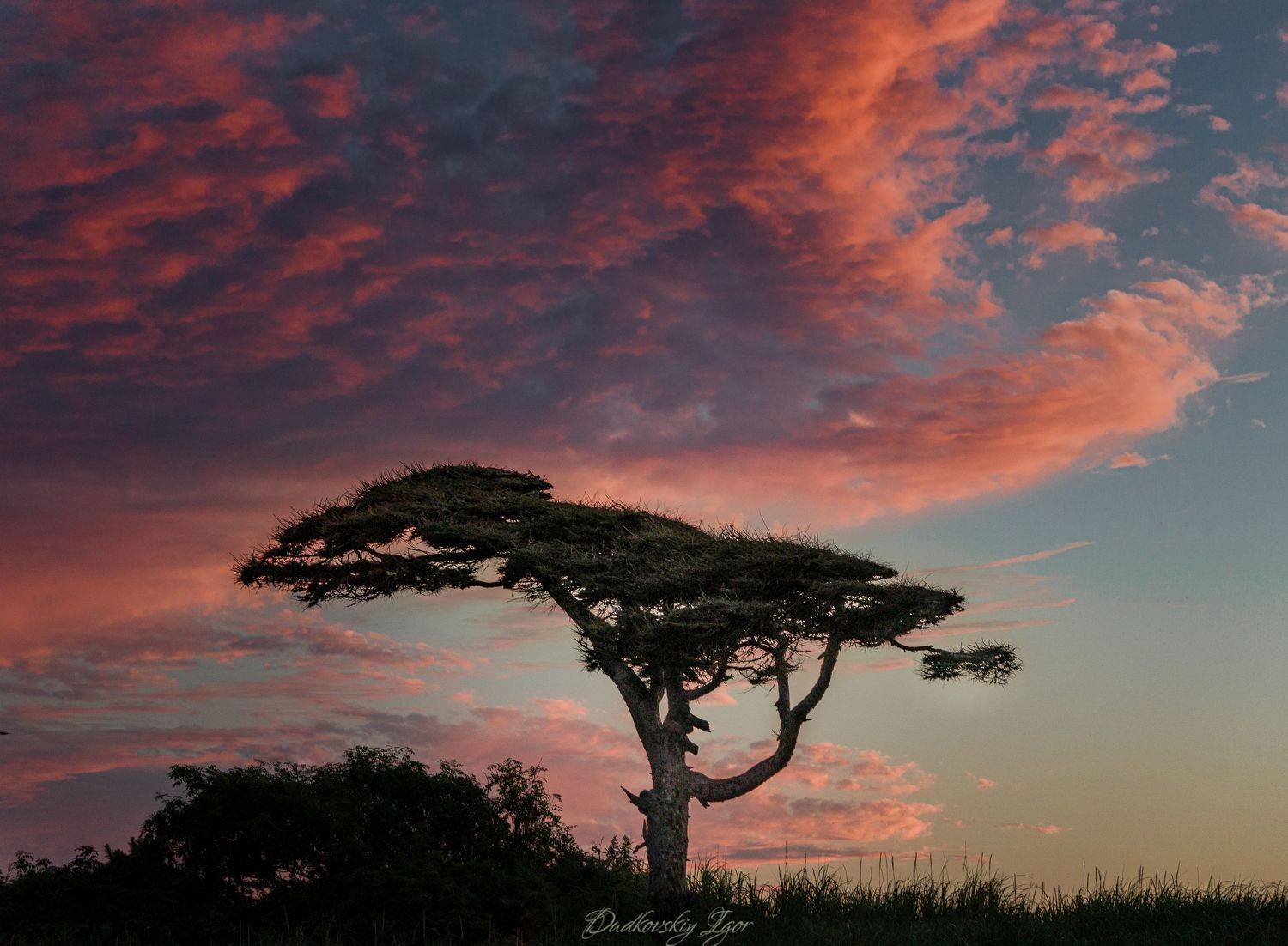 , Игорь Дудковский