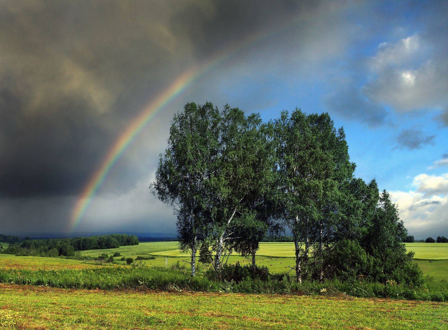 новокузнецк, кузбасс, радуга, лето, Галина Хвостенко