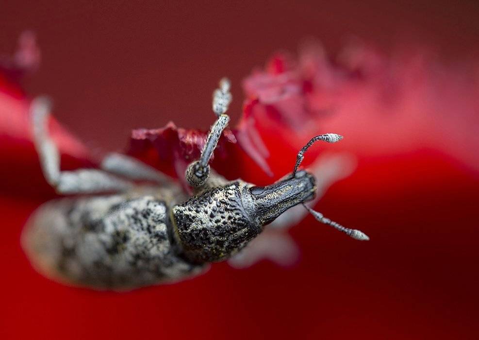 , Петрова Татьяна