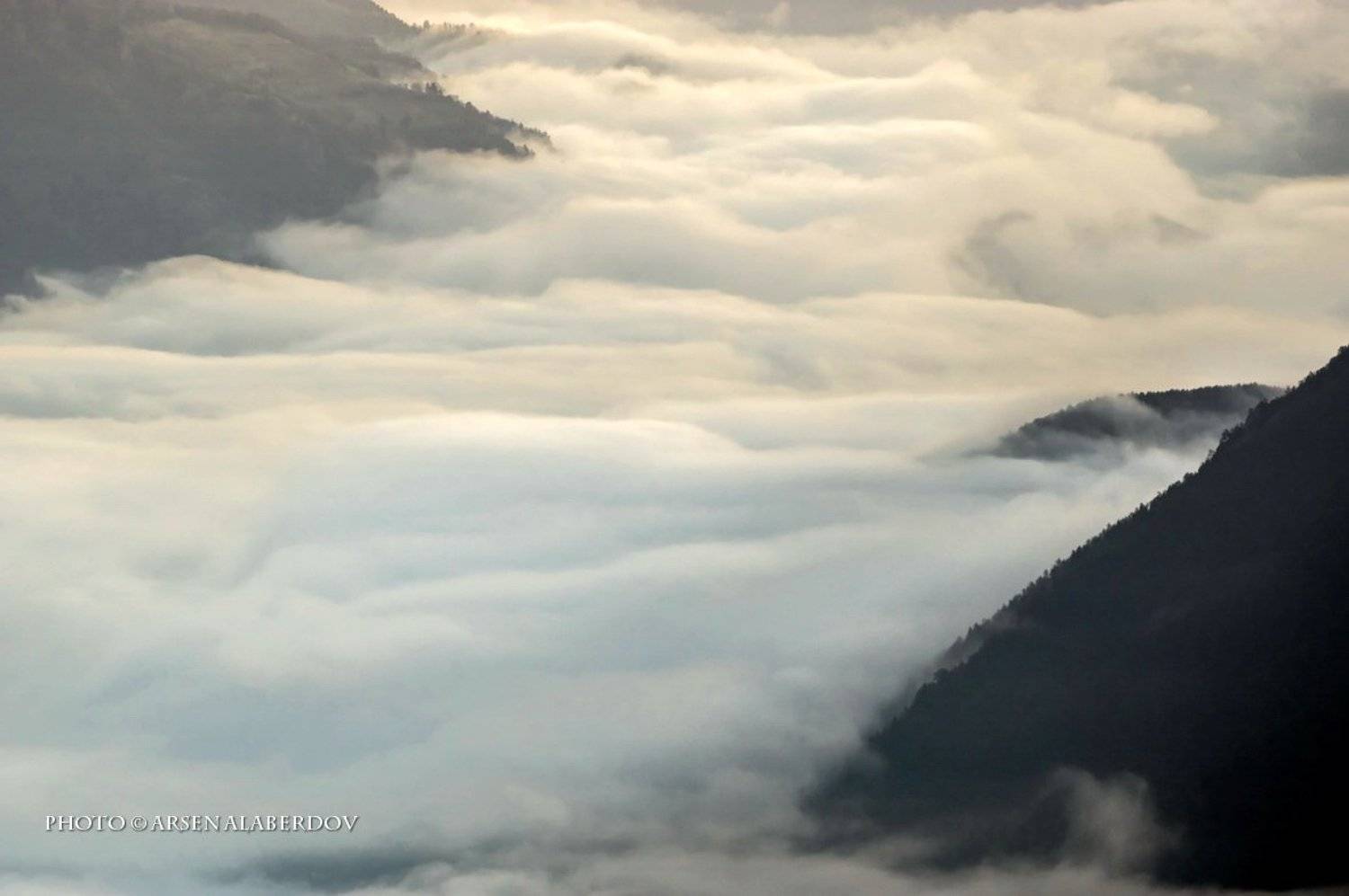 , Арсен Алабердов