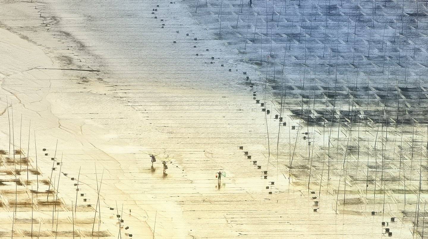 Sea farm afford. Автор: KIM SUK EUN , KIM SUK EUN