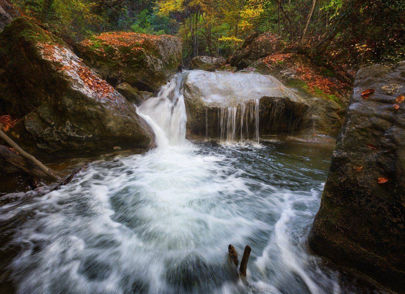 , Денис Сорокин