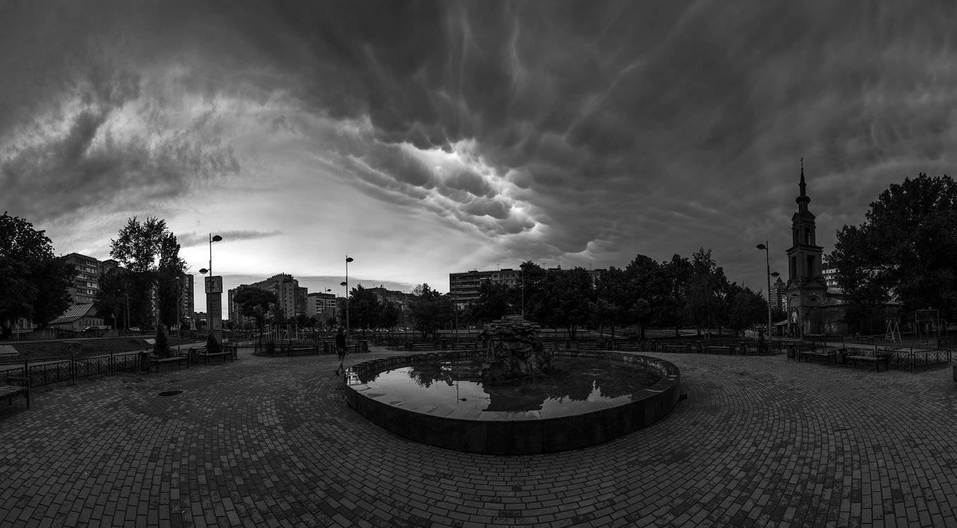 , Алексей Горохов