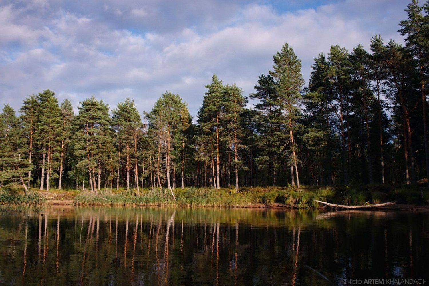 , Артем Халандач