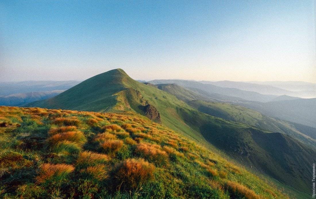 , Ярослав Тюрменко (Jaremi)