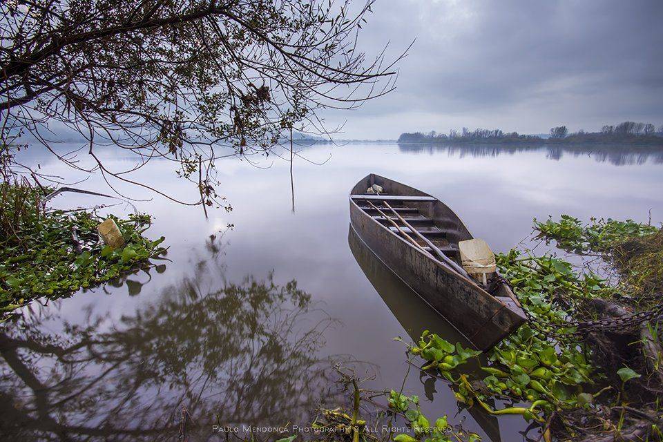, Paulo Mendon&ccedil;a