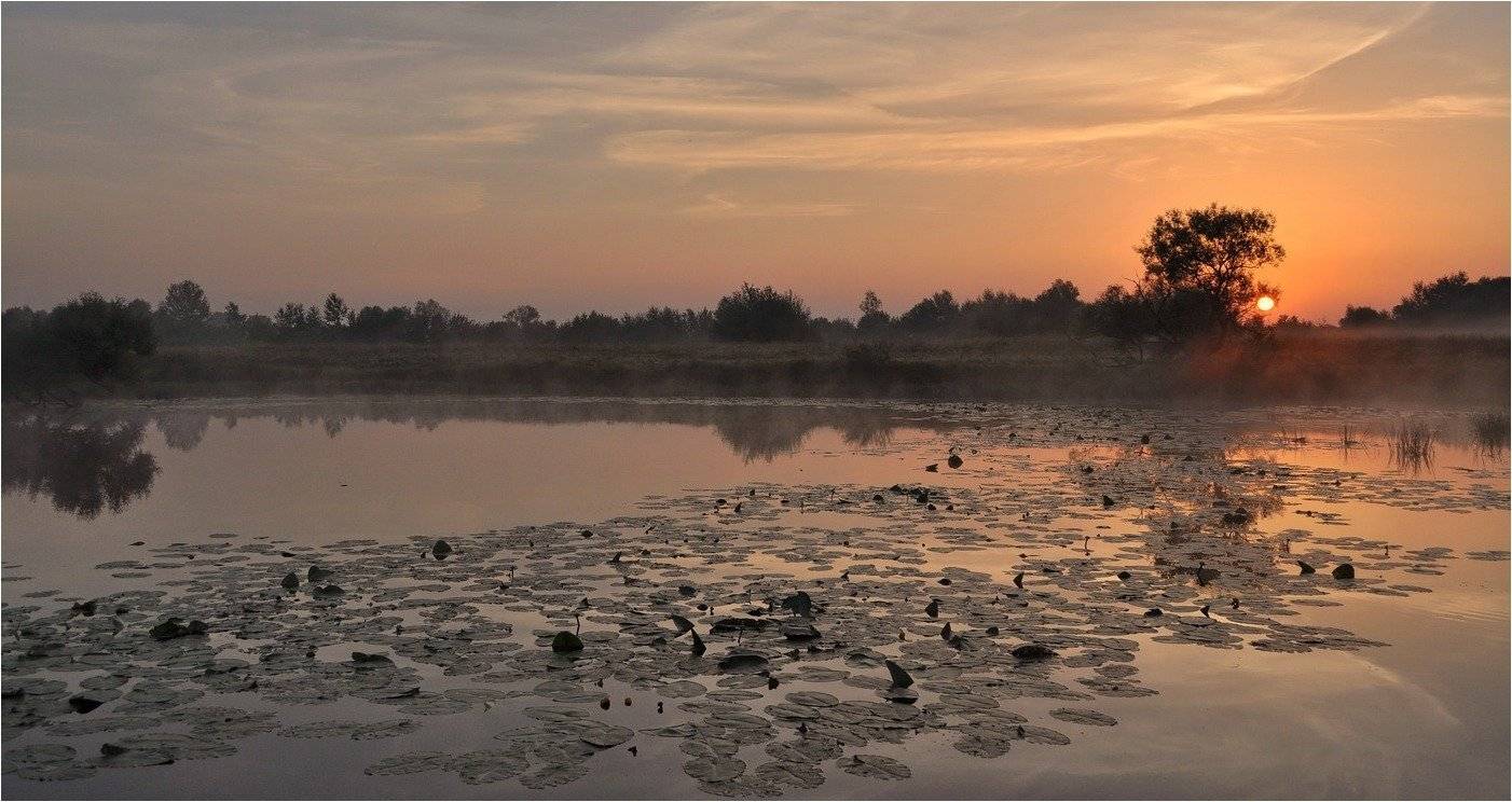 , Володимир Карчевський