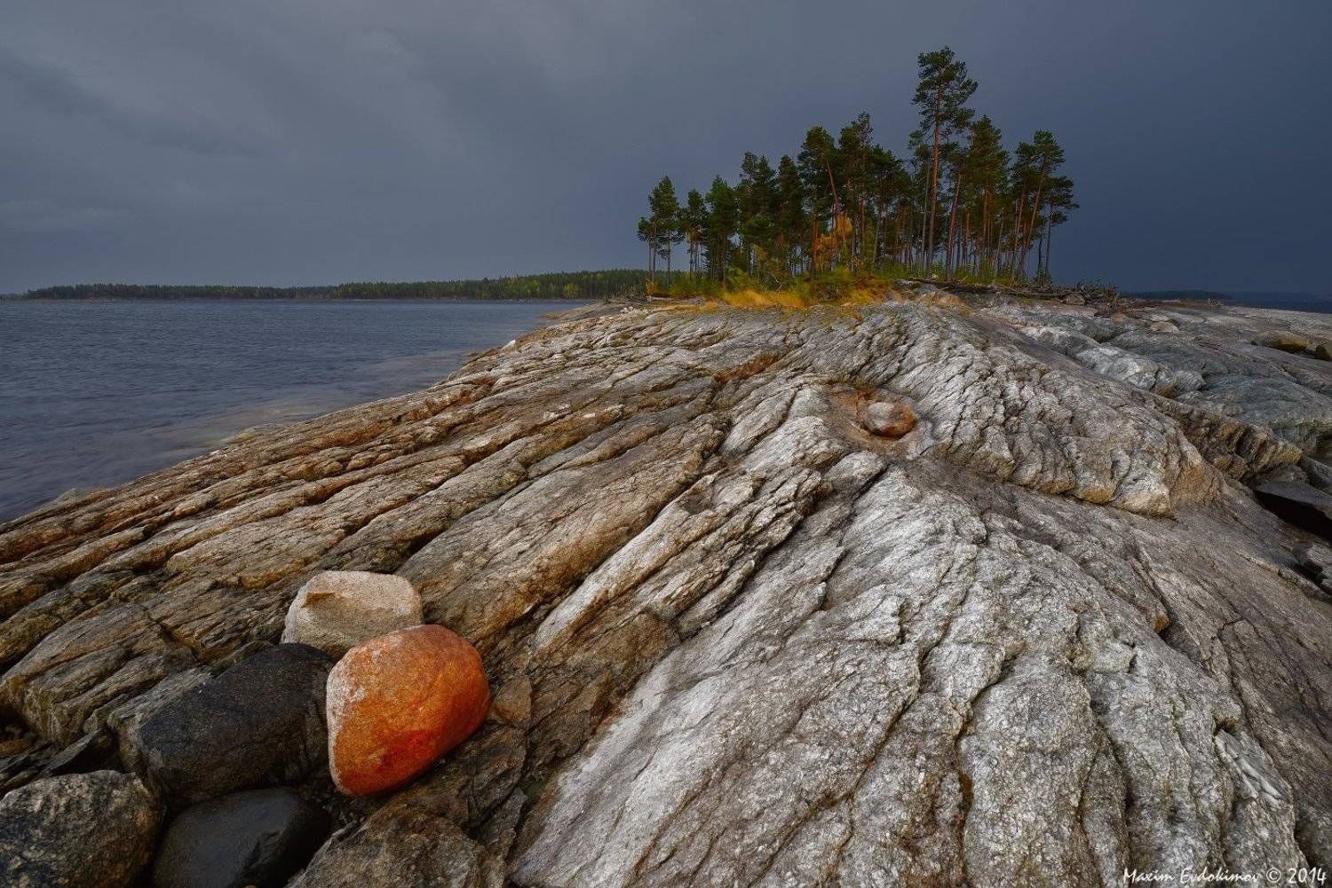 , Максим Евдокимов