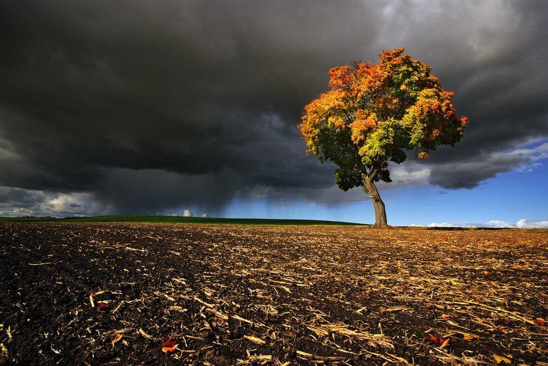 Autumn. фото превью
