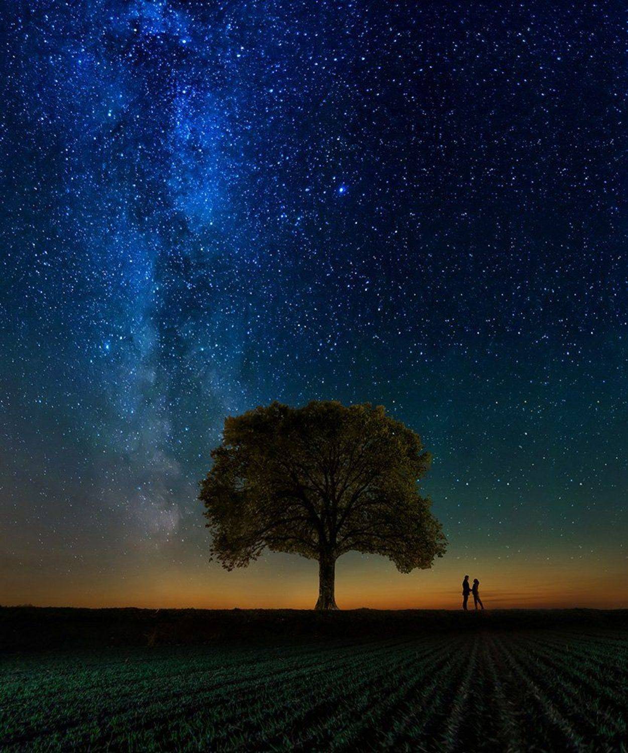 Галактика, Дерево, Закат, Звезды, Млечный путь, Пара, Перспектива, Романтика, Сказка, Александр Жосан
