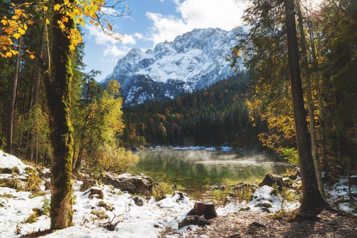 , Александр Удовиченко