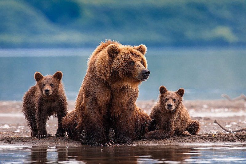 Семейный портрет на пленэре