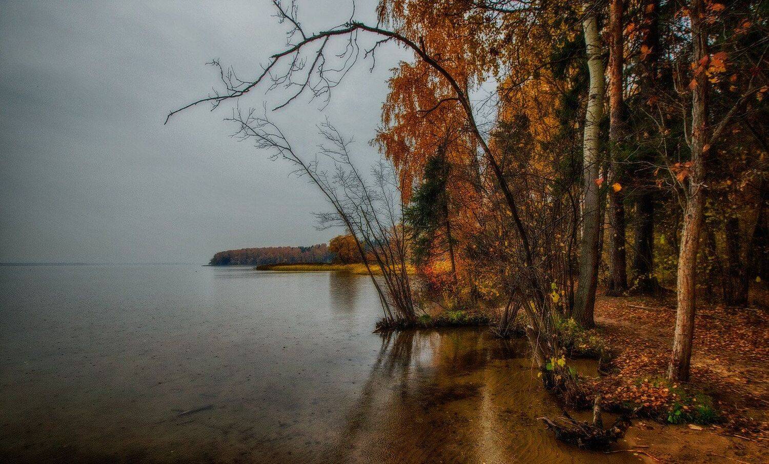 , Владимир Липецких