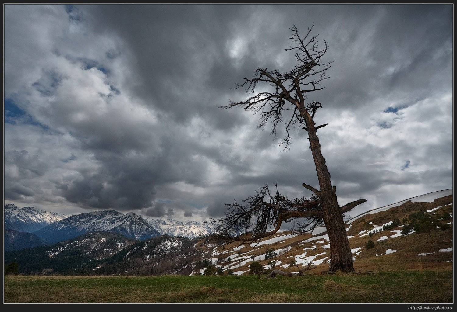 , Николай Стюбко