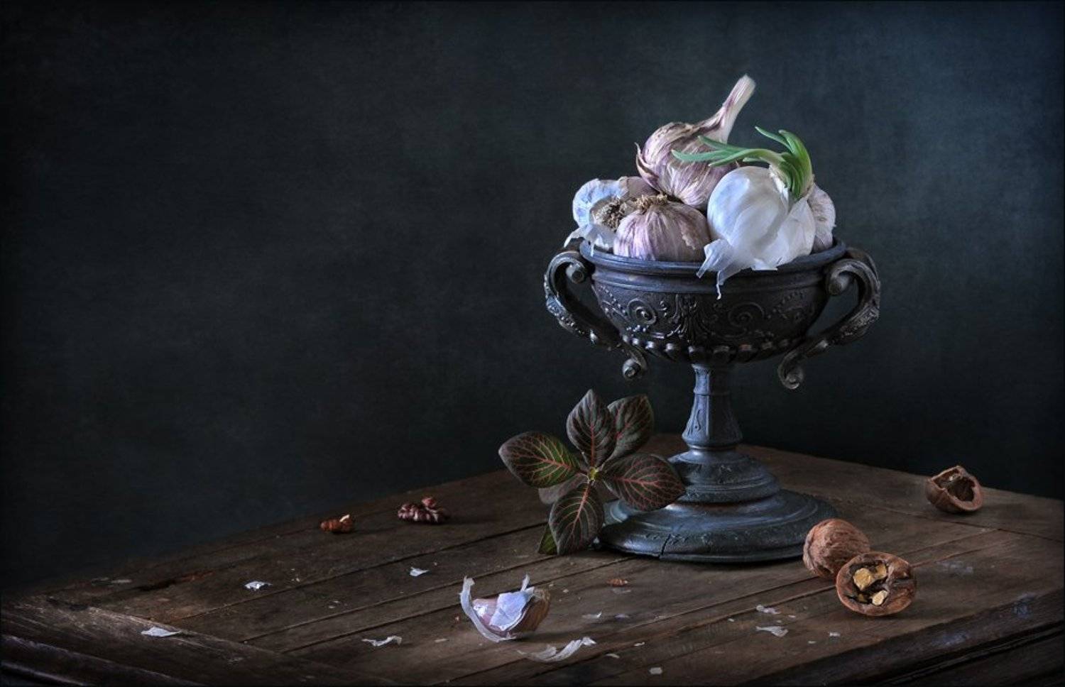 , Елена Соловьёва