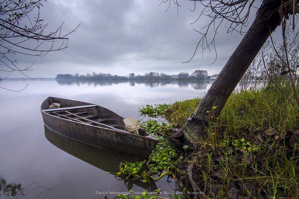 , Paulo Mendon&ccedil;a
