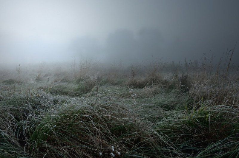 Холодный иней упал на траву фото превью
