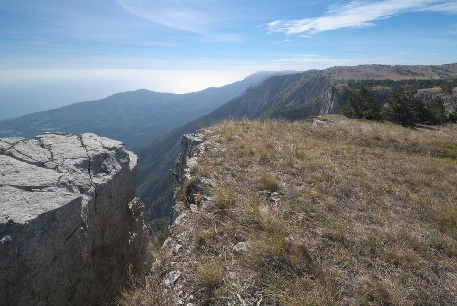 , Саша  Вайсберг / Waldschnepfe /