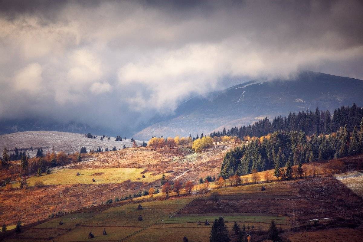 , Вейзе Максим