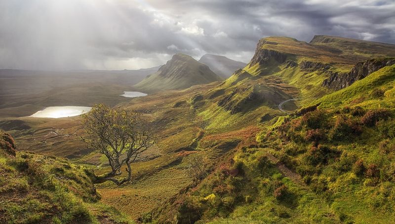 mc, scotland пятьсот семьдесят три оттенка зеленого.. фото превью