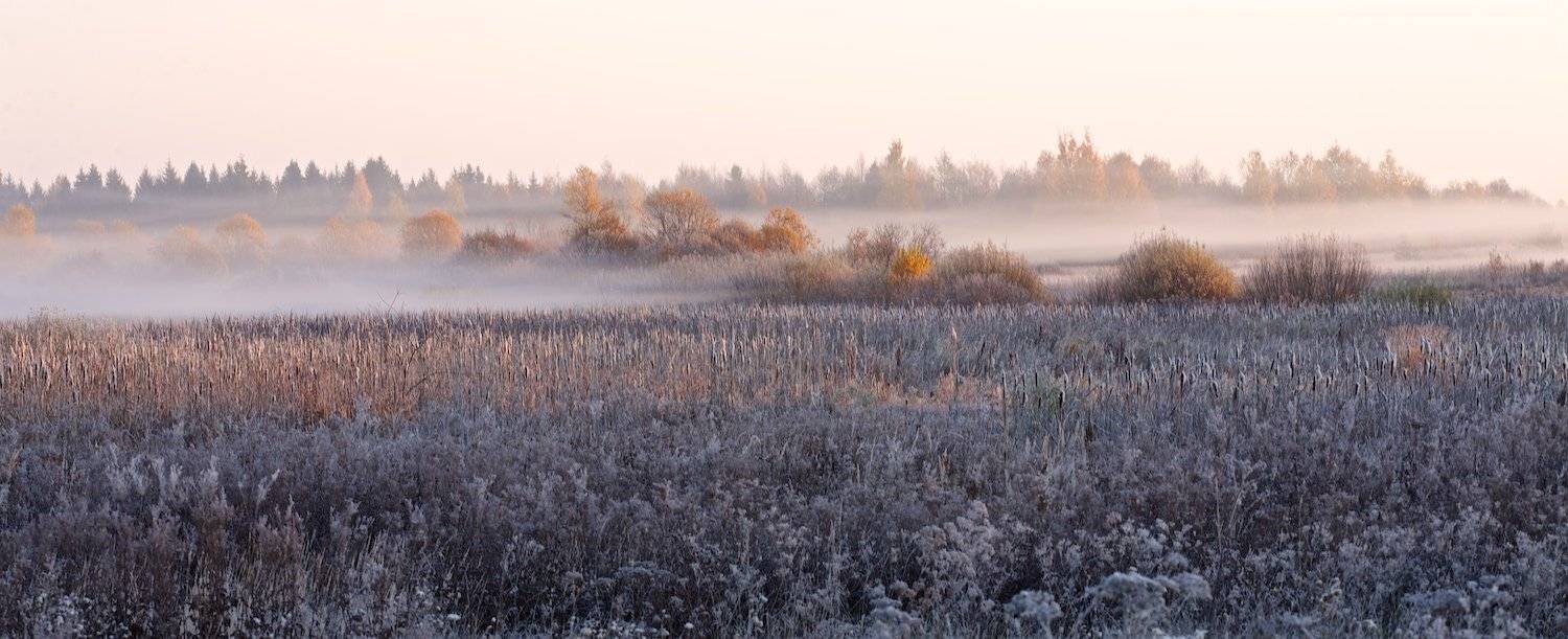 , СПИРИДОНОВ НИКОЛАЙ