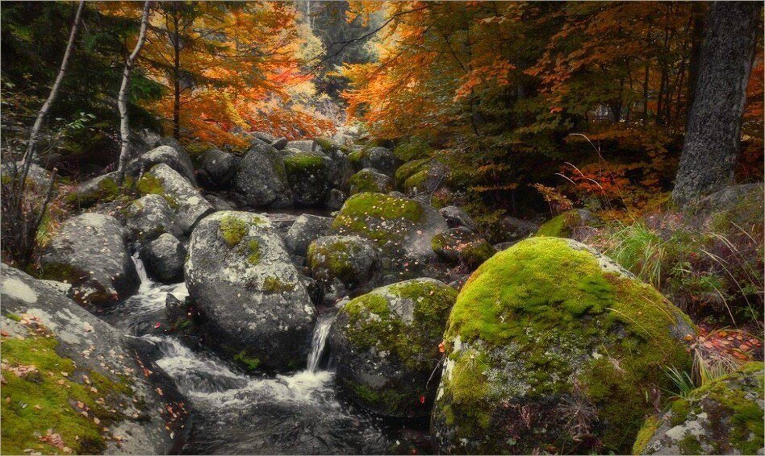 bulgaria, Svetoslav Georgiev