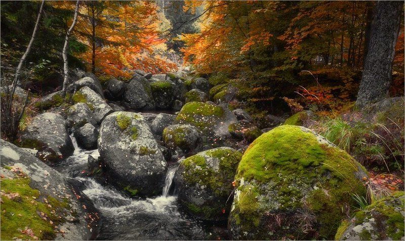 bulgaria  фото превью