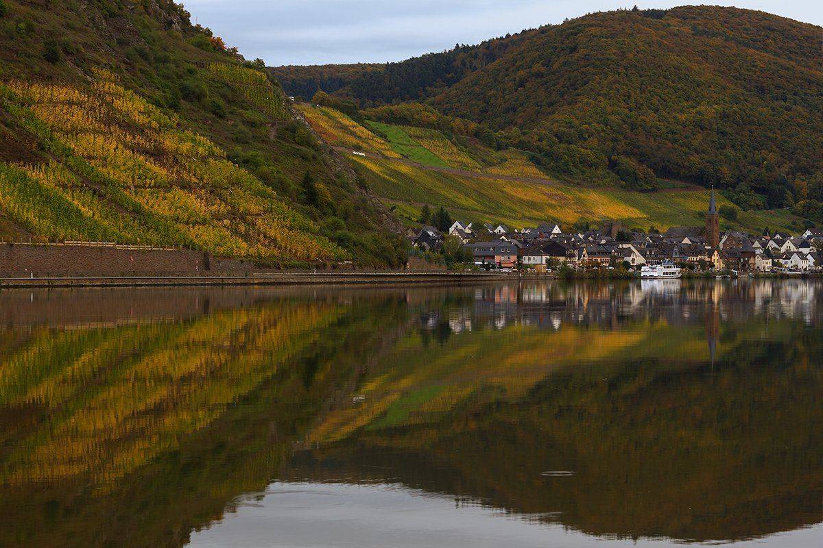 , Игорь Дубровский