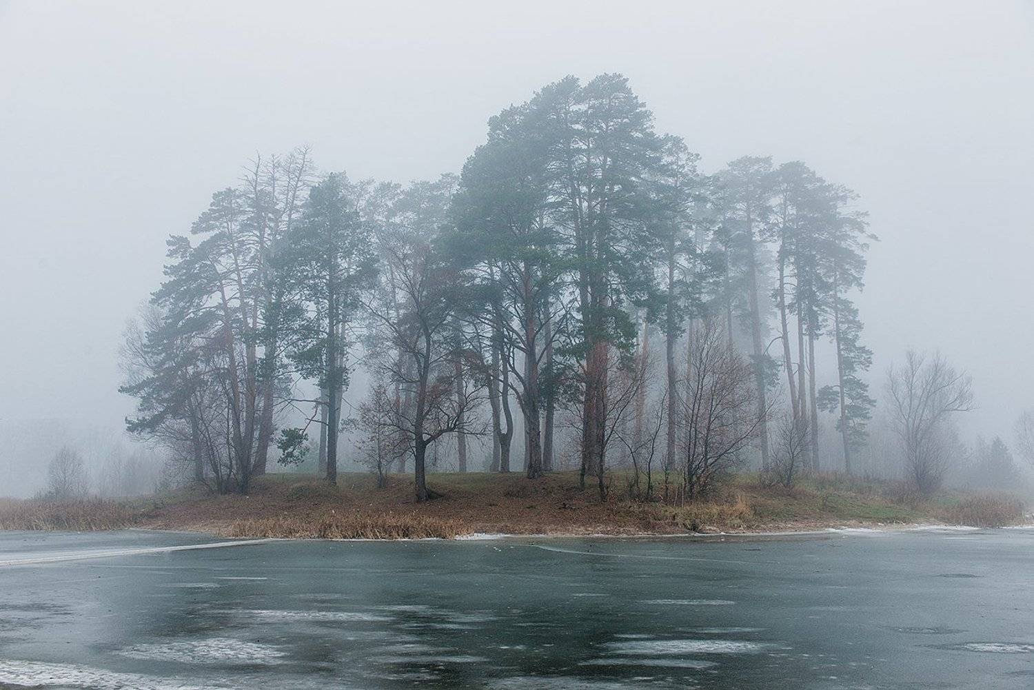 , Наиль Зоркий