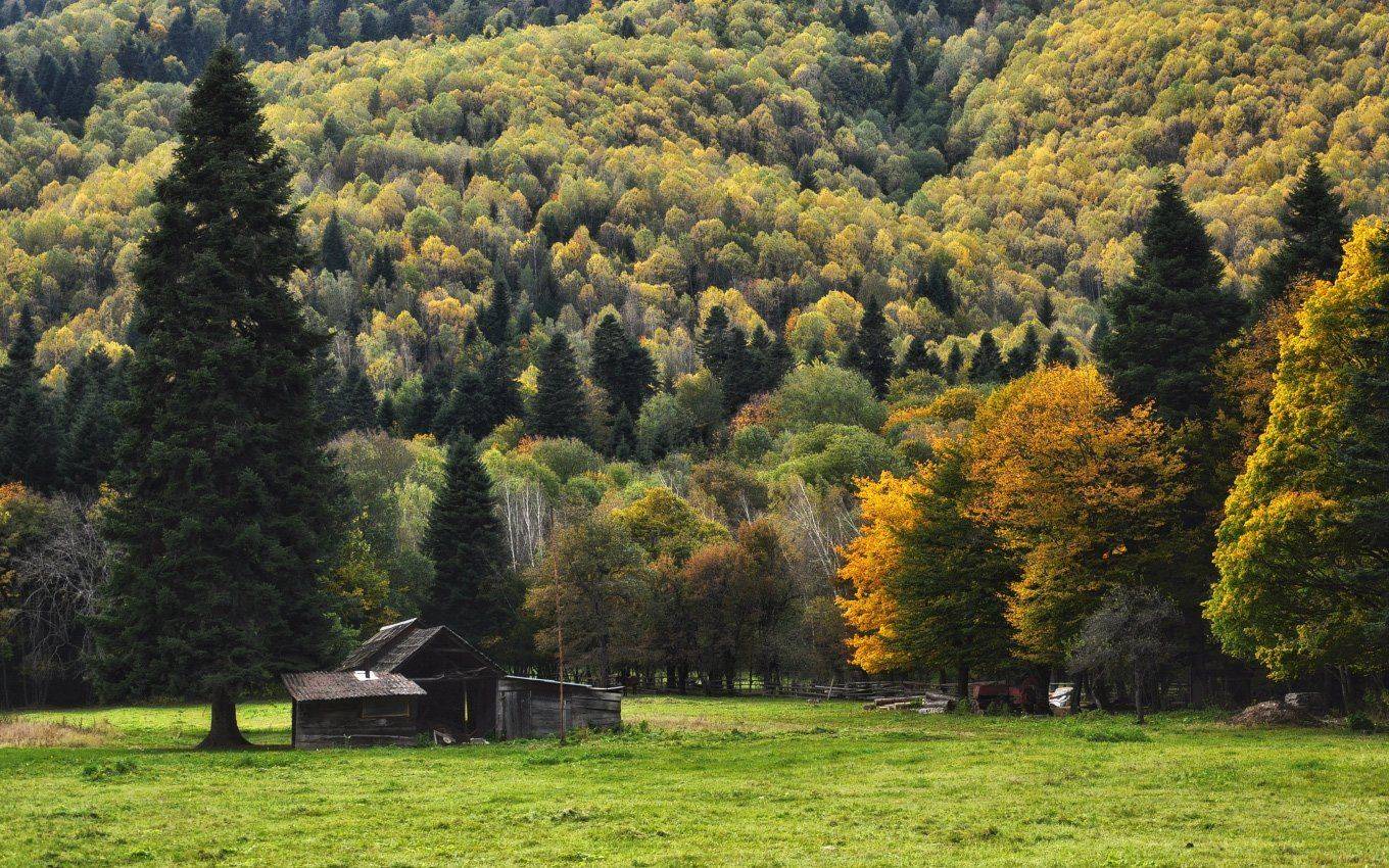 кавказ кчр, Александр Круль
