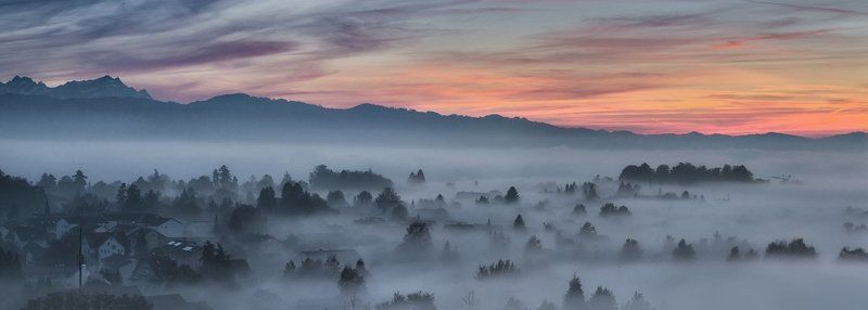 In the fog фото превью